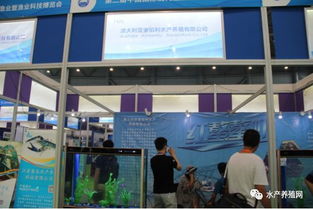 近500家水產(chǎn)產(chǎn)業(yè)鏈企業(yè)齊聚合肥漁博會(huì)，現(xiàn)場(chǎng)亮點(diǎn)紛呈，行業(yè)盛事引領(lǐng)產(chǎn)業(yè)新方向
